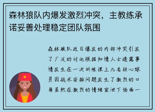 森林狼队内爆发激烈冲突，主教练承诺妥善处理稳定团队氛围