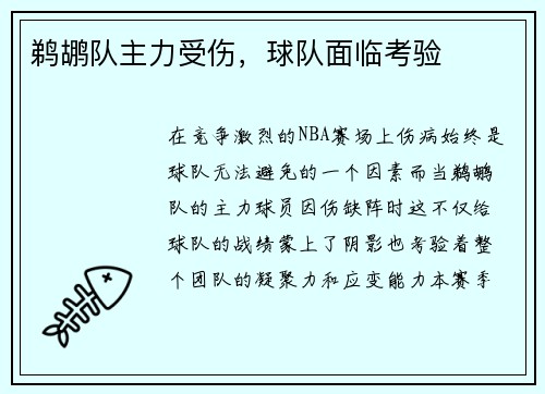 鹈鹕队主力受伤，球队面临考验